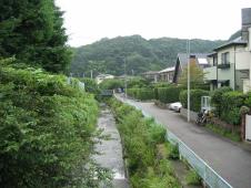 gal/Autour de Tokyo/Kamakura/_thb_105_0504.jpg